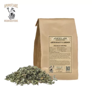 Enginar enginar yaprağı kesilmiş (Cynara cardunculus) - Apophycaire