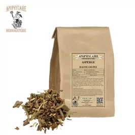 Corte de raíz de espárrago (Asparagus officinalis) - Apophycaire