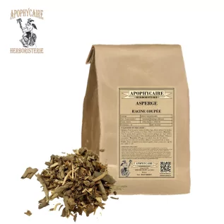 Asperge racine coupée (Asparagus officinalis) - Apophycaire