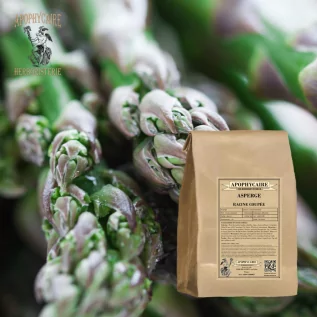 Té de hierbas de raíz de espárrago