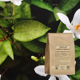 Sweet woodruff herbal tea, cut aerial part