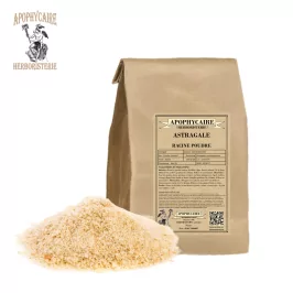 Astragalus root powder (Astragalus membranaceus) - Apophycaire