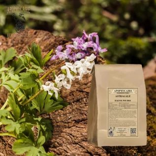 Astragalus root infusion