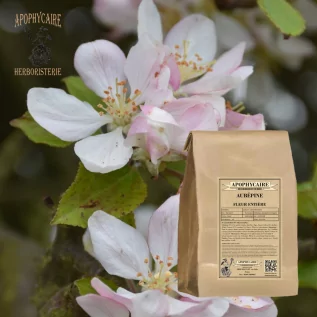 Infusión de flores de espino