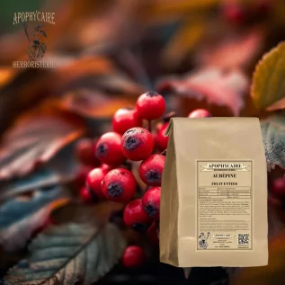 Té de hierbas de fruto de espino