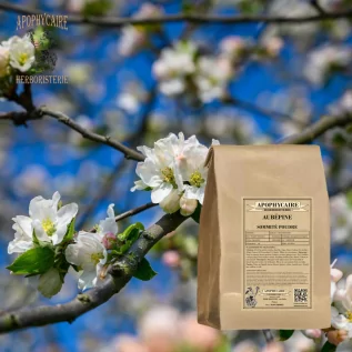 Infusión de sumidad florida de espino blanco