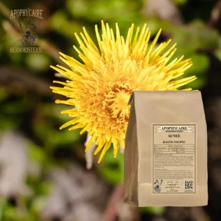 tisane Aunée racine