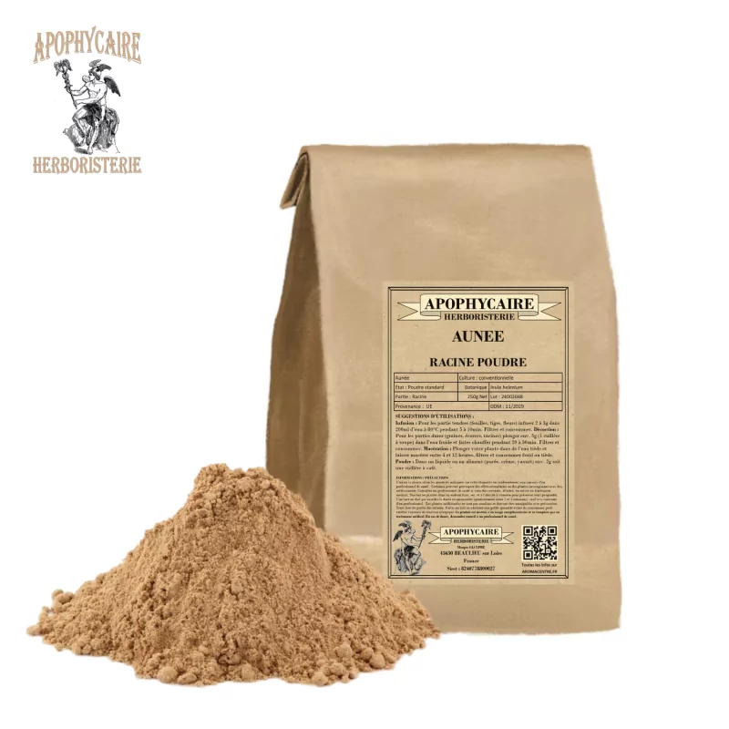 Elecampane root powder (Inula helenium) - Apophycaire Elecampane root powder (Inula helenium) - Apophycaire