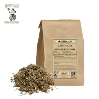 Corte de la parte aérea de la aurona macho (Artemisia abrotanum) - Apophycaire