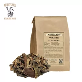 Aguacate de hoja cortada (Persea gratissima) - Apophycaire