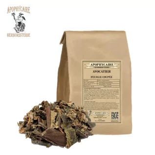 Kesilmiş yapraklı avokado (Persea gratissima) - Apophycaire