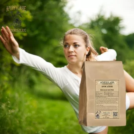 Geschnittene Avocado (Persea gratissima) – Apophycaire