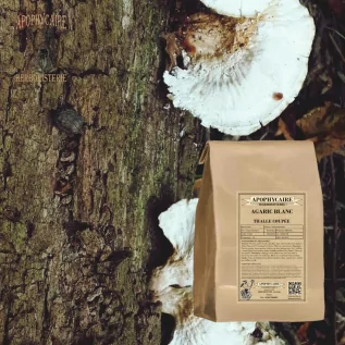 Weißer Pilz-Kräutertee