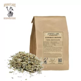 Alchemilla argentea, parte aérea cortada - Apophycaire