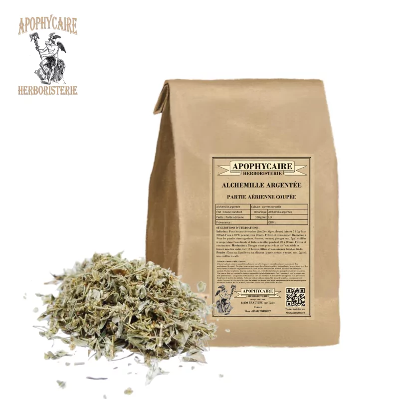 Gümüş Hanım Mantosu, kesilmiş hava kısmı (Alchemilla argentea) - Apophycaire