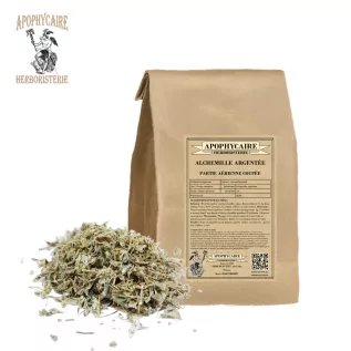 Gümüş Hanım Mantosu, kesilmiş hava kısmı (Alchemilla argentea) - Apophycaire