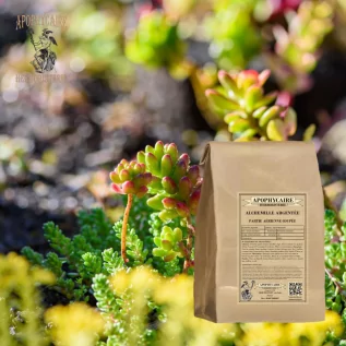 Té de hierbas Manto de la Dama Plateado