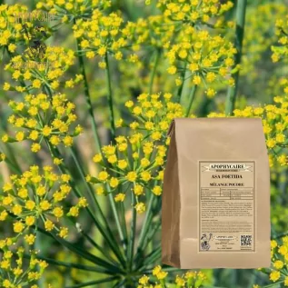 Asa foetida spice gum and seed powder