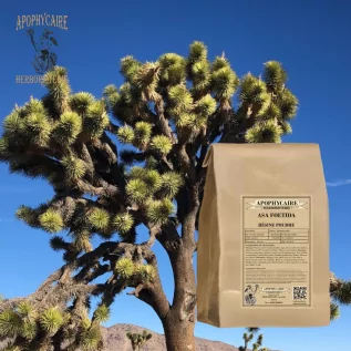 Epice forte, Asa foetida gomme poudre pure