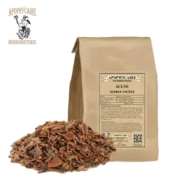 Geschnittene Rinde der Erle (Alnus glutinosa) – Apophycaire