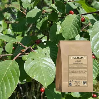 Infusión de corteza de aliso