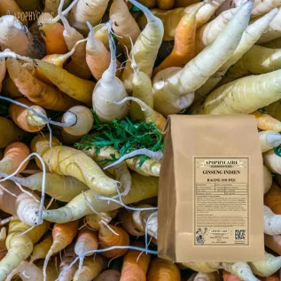 Té de ginseng indio de raíz cortada