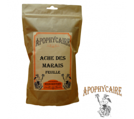 Apophycaire ™ - Ache des marais - céléri (Apium graveolens) Feuille