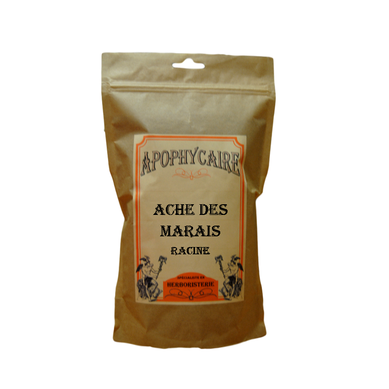 Ache des marais ( céléri)  (Apium graveolens) Racine - Apophycaire ™