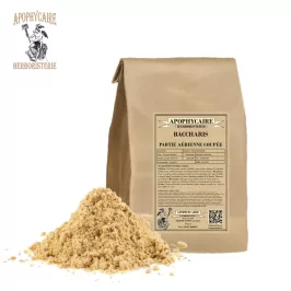 Baccharis aerial part cut (Baccharis Trimera) - Apophycaire