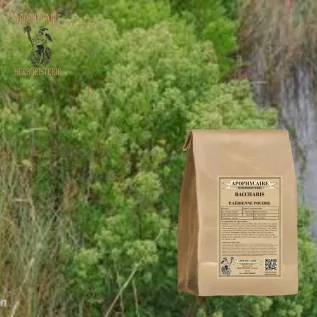 Baccharis aerial part infusion