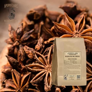 Star anise fruit infusion - Apophycaire