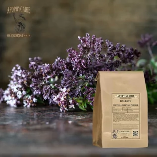Black horehound Aerial part powder (Ballota nigra) - Apophycaire