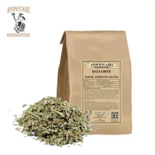 Balsamitis parte aérea cortada (Tanacetum balsamita) - Apophycaire