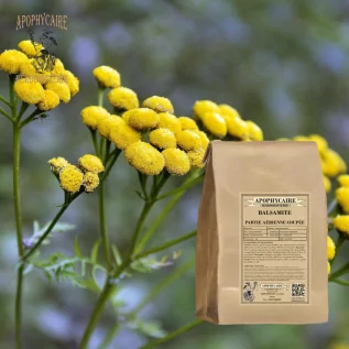 Balsamite bitkisel çayları