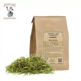 Bambou coupé (Bambusa tabashir) - Apophycaire