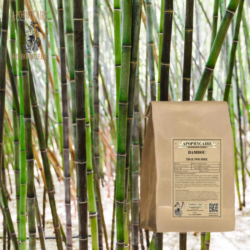 Bamboo  powder  Bambusa tabashir | Apothecary