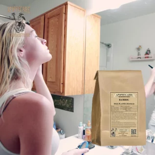 Bambou plante coupée (Bambusa Bambos L.) - Apophycaire