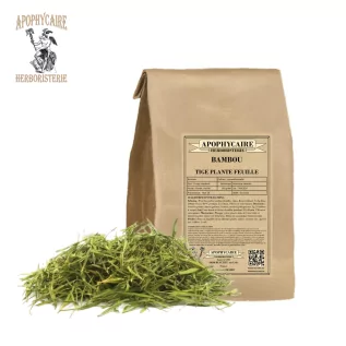 Kesilmiş bambu bitkisi (Bambusa Bambos L.) - Eczacı