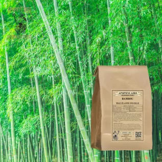 Tisane Bambou plante