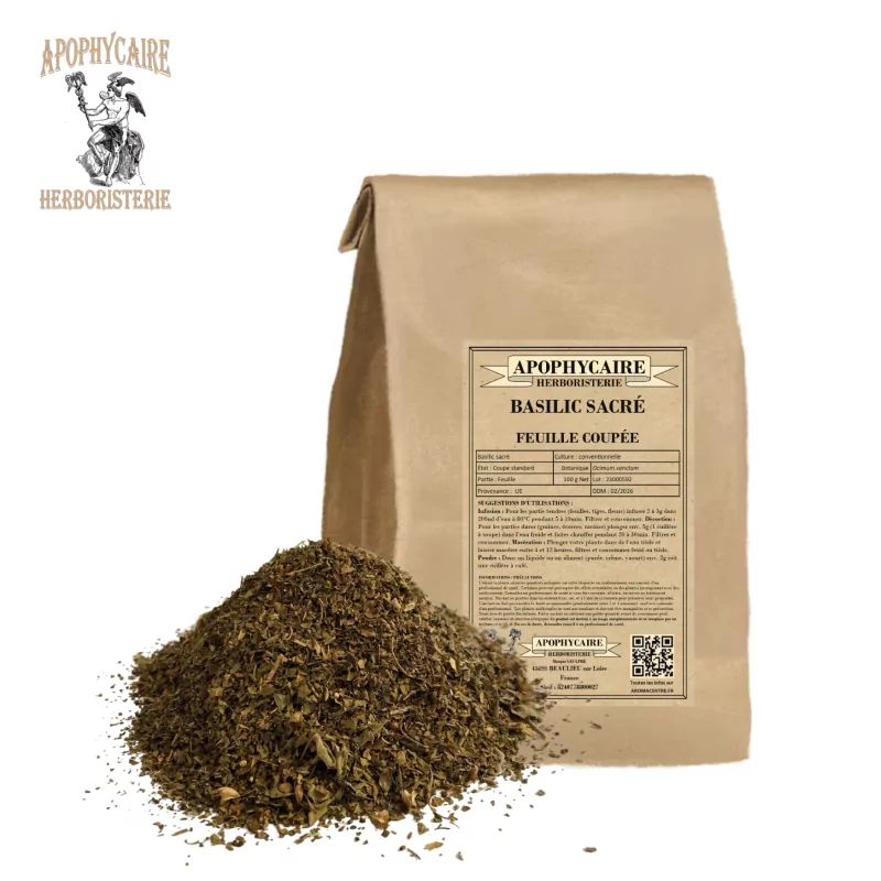 Holy basil cut leaf (Ocimum sanctum) - Apophycaire