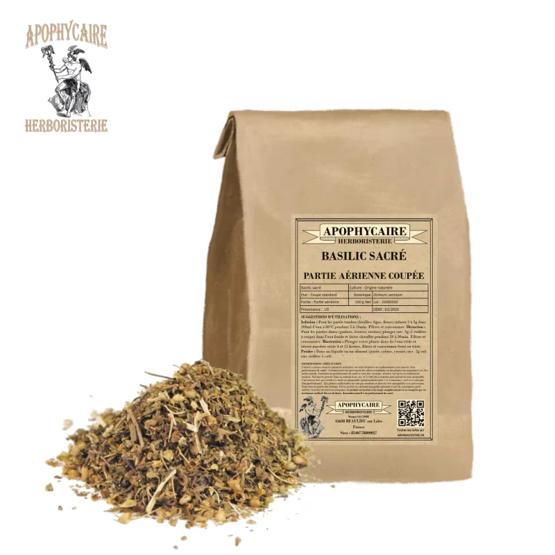 Basilic sacré coupée (Ocimum sanctum) - Apophycaire