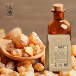 Siamesischer Styrax tonkinensis - Apophycaire