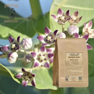 Benzoin of Siam loose resin