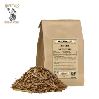 Avens cut root (Geum urbanum) - Apothecary