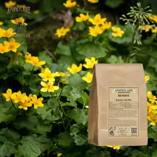 tisane Benoite racine coupée (Geum urbanum) - Apophycaire