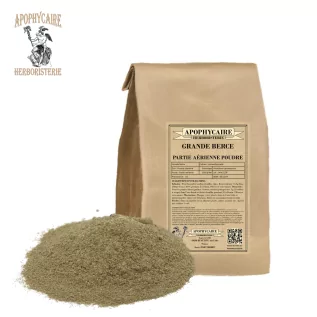 Grande Berce partie aérienne poudre (Heracleum sphondylium) - Apophycaire