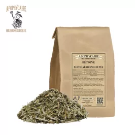 Betónica, parte aérea cortada (Betonica officinalis) - Apophycaire
