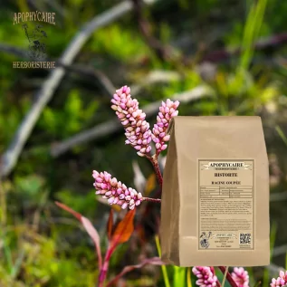 Bistorte kökü bitki çayı (Polygonum bistorta) - Apophycaire