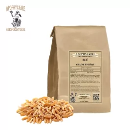 Blé graine vrac (Triticum sativum) - Apophycaire