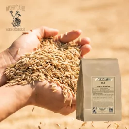 Gevşek buğday tanesi (Triticum sativum) - Apophycaire